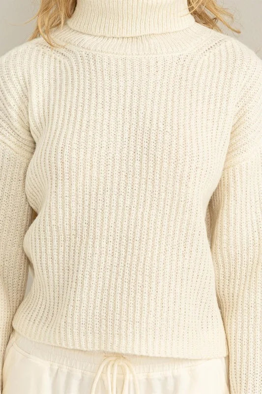 Pretty Sweet Turtleneck Semi-Crop Sweater