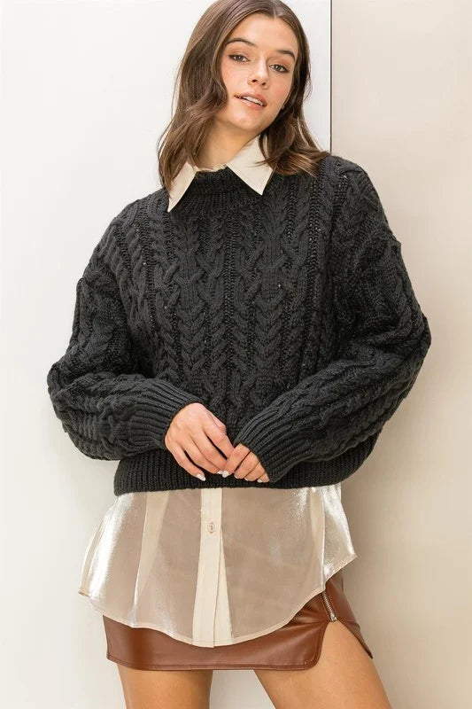 Extra Love Cable Knit High Neck Pullover Sweater